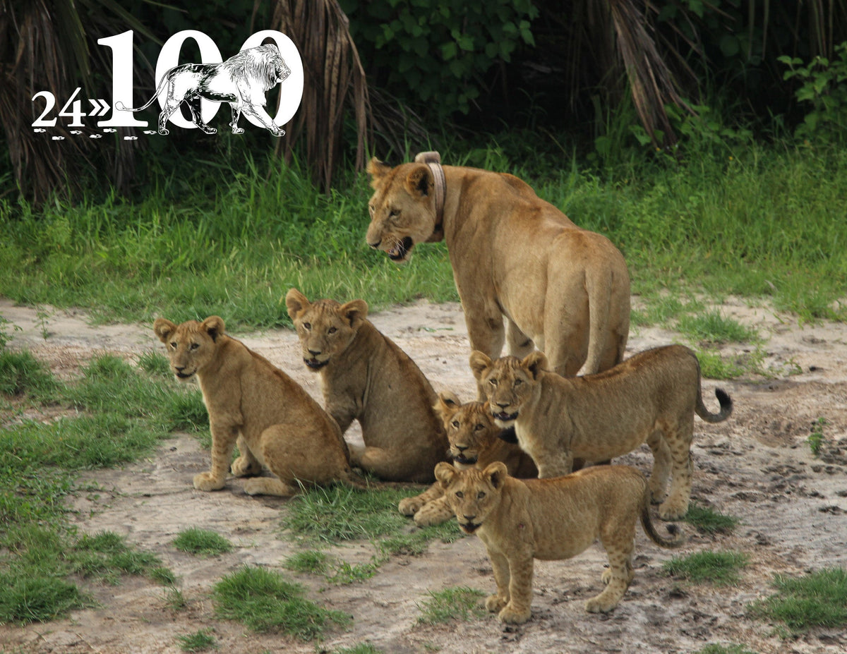Cabela family announces major milestone for 24 Lions - Zarges USA