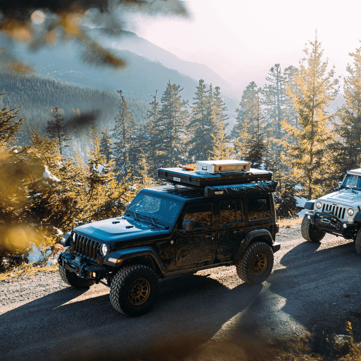 Two off-road vehicles on a forest road, the lead one carrying a ZARGES K470-380031 case on its roof rack